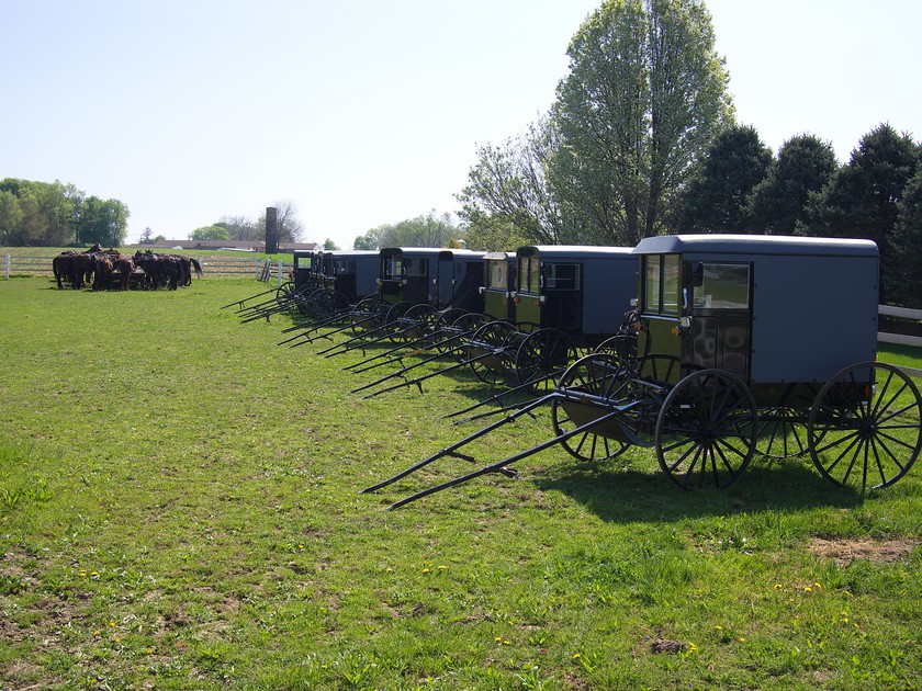 Bezoek Pennsylvania Amish in Lancaster County Doets Reizen