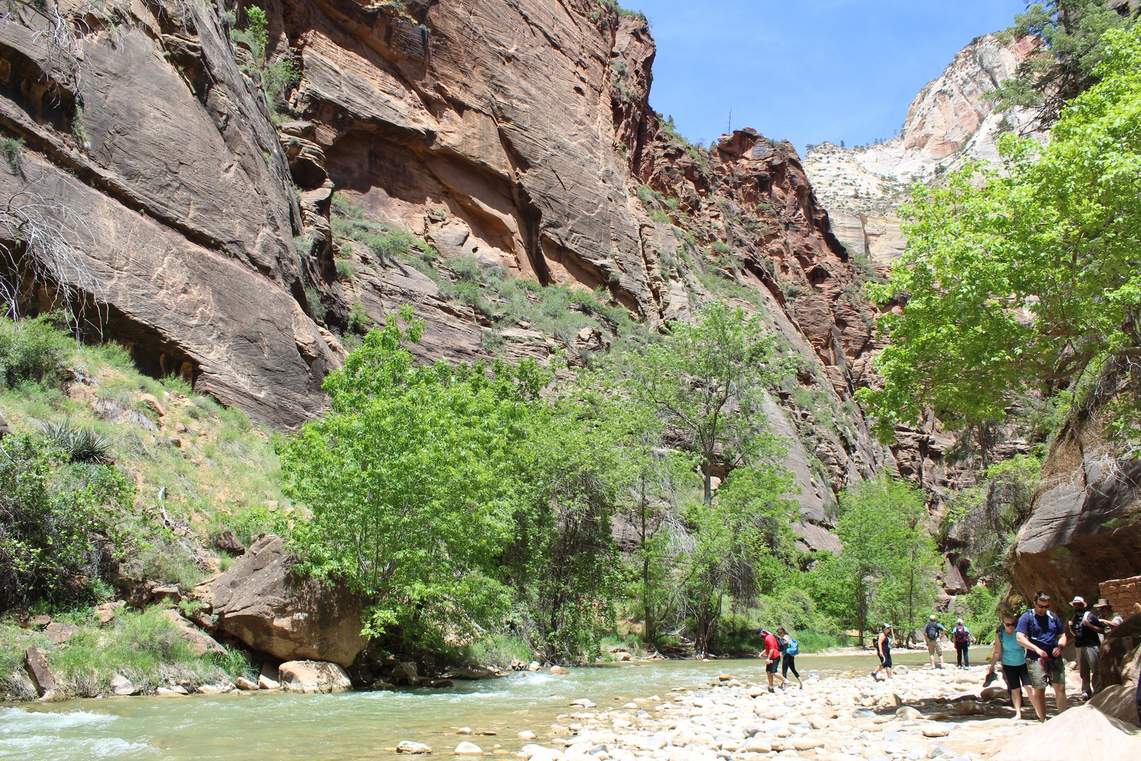 Zion National Park - Utah - Doets Reizen