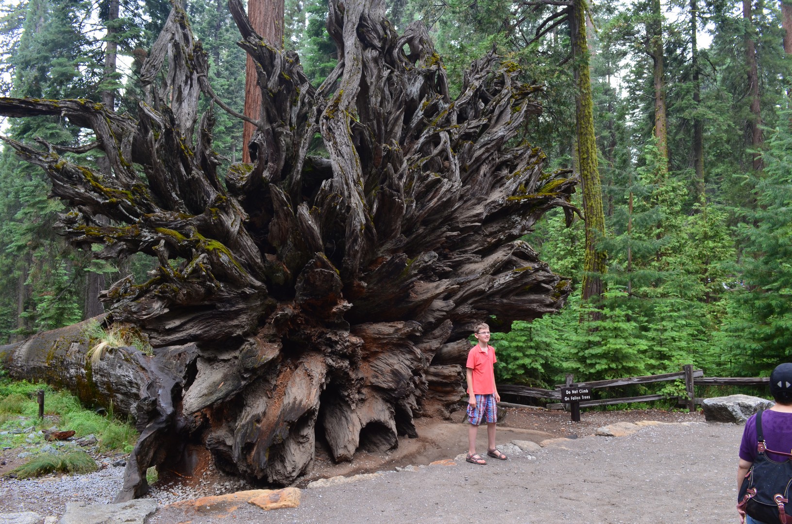 Yosemite National Park - California - Doets Reizen