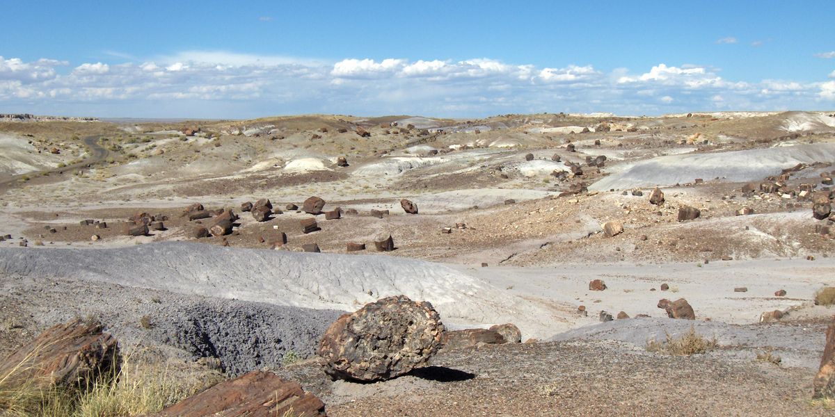 Petrified Forest National Park - Arizona - Amerika - Doets Reizen