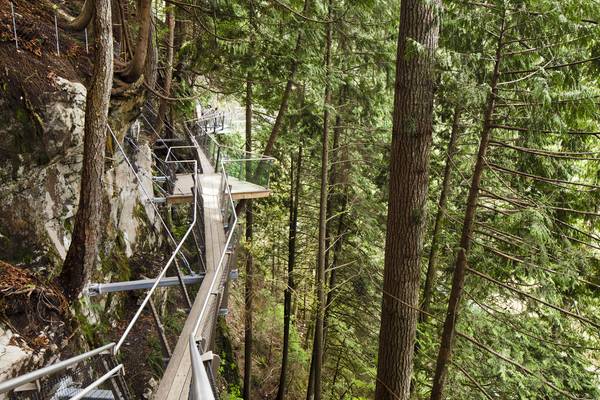 Capilano Suspenion Bridge - Vancouver - British Columbia - Canada - Doets Reizen