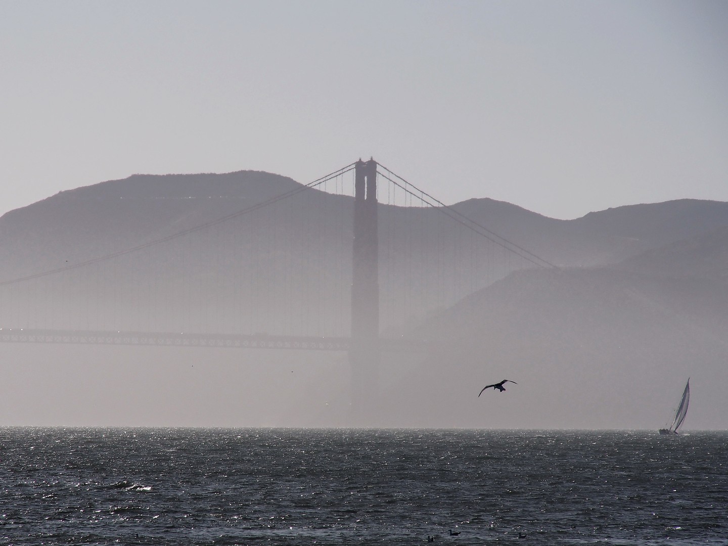 Alcatraz - San Francisco - California - Amerika - Doets Reizen