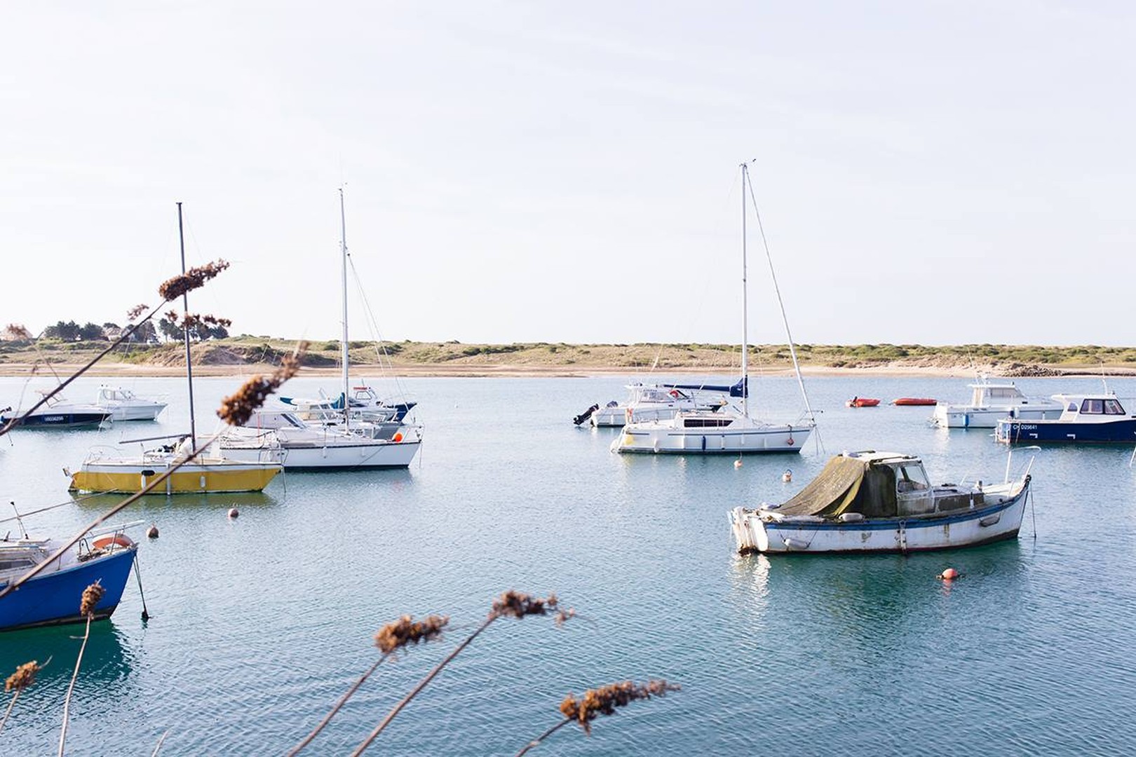 Chausey Islands Normandie Doets Reizen - Manche Tourisme (7)