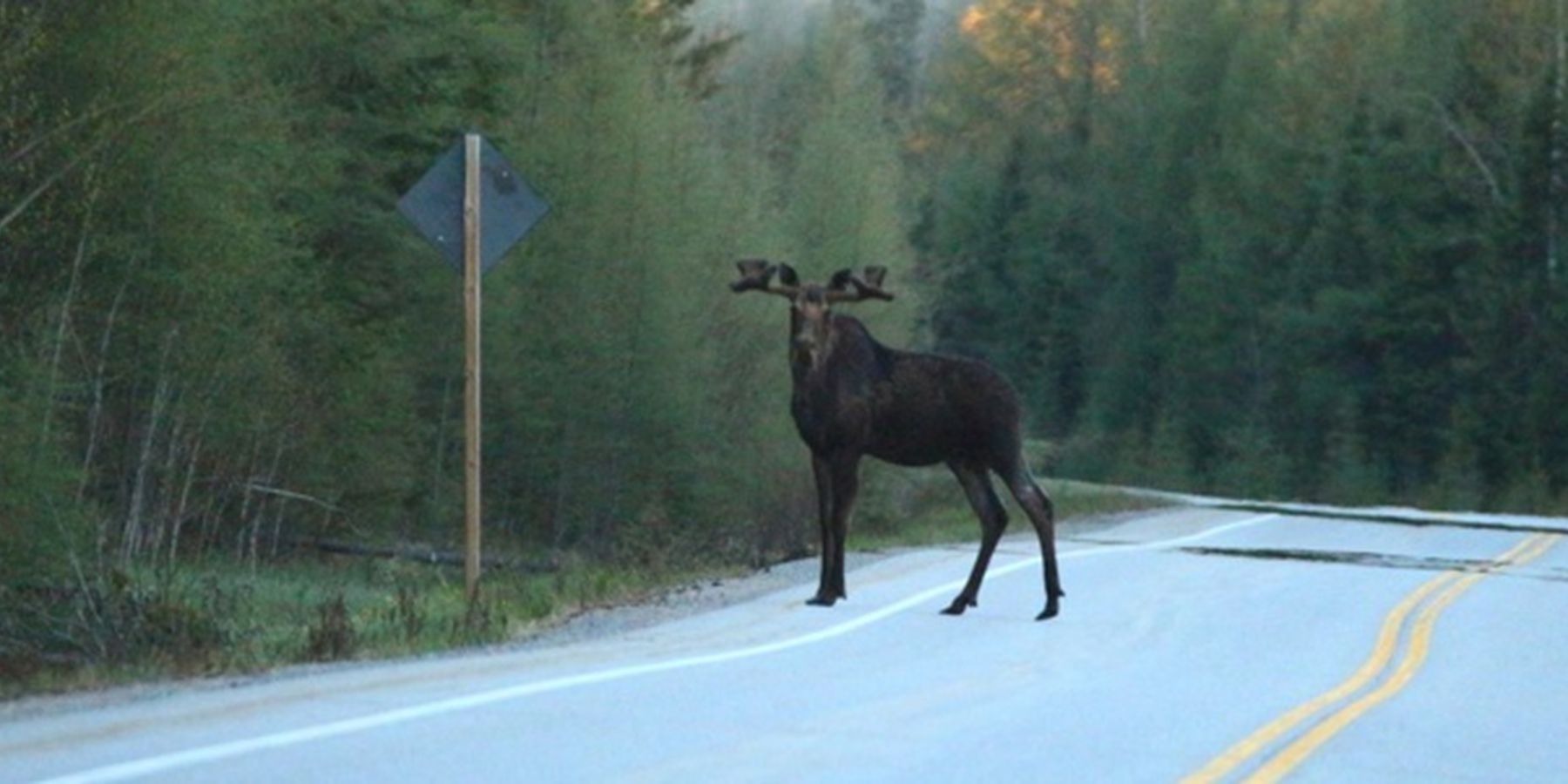 Bezoek Hornepayne Doets Reizen
