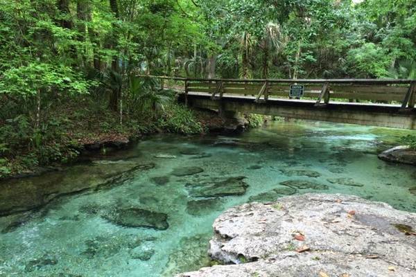 Kelly Park - Orlando - Florida - Doets Reizen