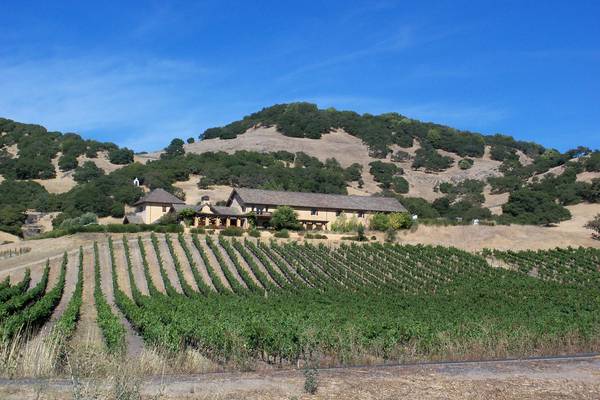 Napa Valley - California - Amerika - Doets Reizen