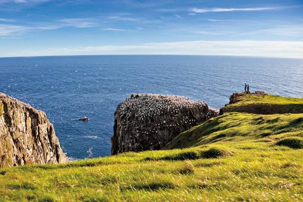 Cape St. Mary - Newfoundland & Labrador - Canada - Doets Reizen