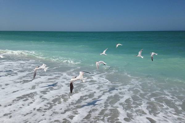 Captiva Island - Florida - Doets Reizen