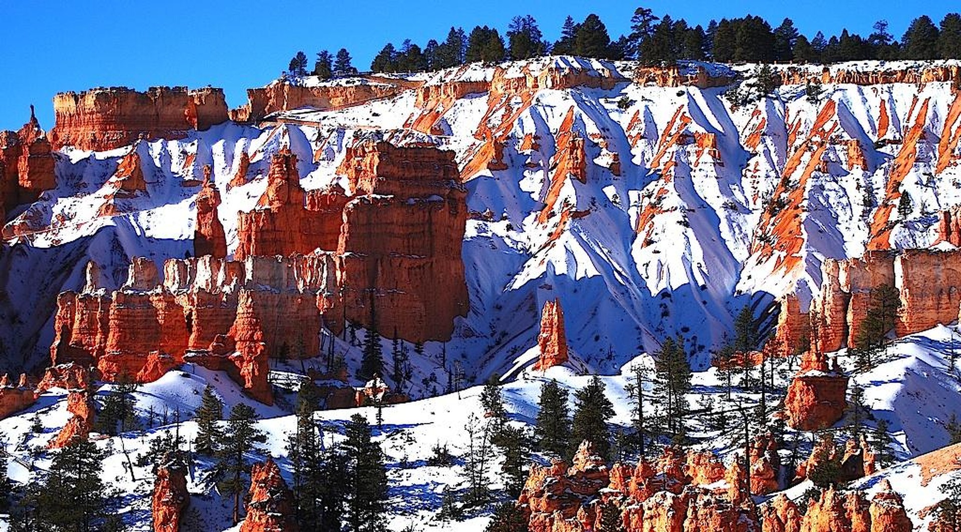 ​Bryce Canyon National Park - Utah - Doets Reizen