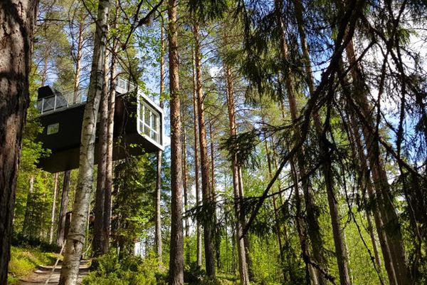 Treehotel in Zweden - Vakantie Zweden - Doets Reizen