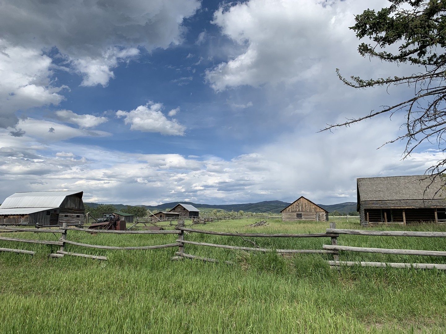 Wildlife Safari - Grand Teton National Park - Wyoming - Doets Reizen