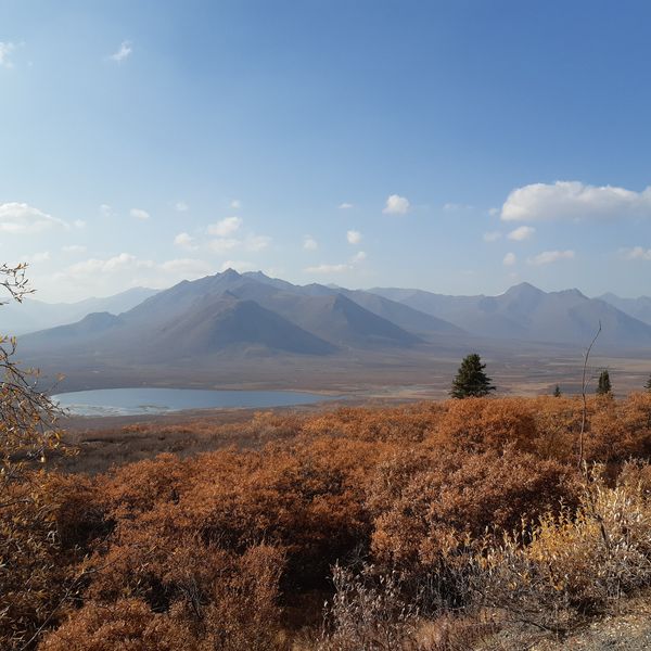Tombstone Territorial Park - Yukon - Canada - Doets Reizen