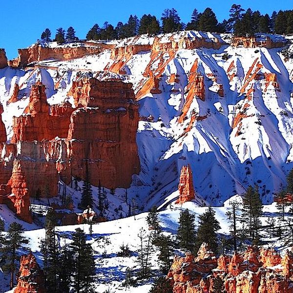 ​Bryce Canyon National Park - Utah - Doets Reizen