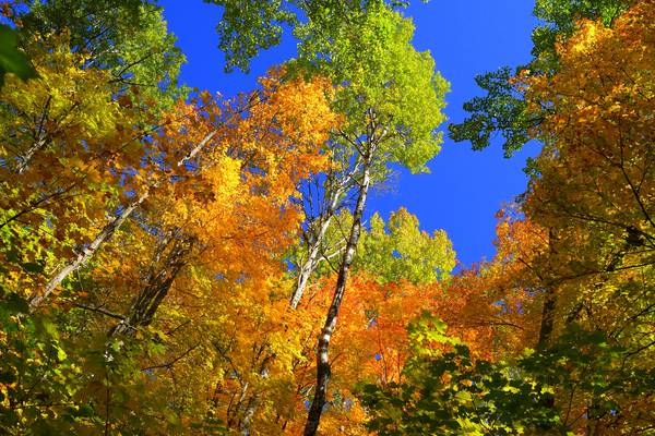 Algonquin Provincial Park - Ontario - Canada - Doets Reizen