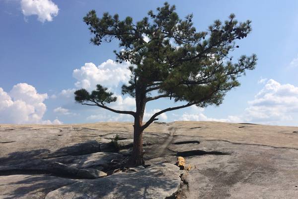 Stone Mountain Park - Atlanta - Georgia - Amerika -Doets Reizen