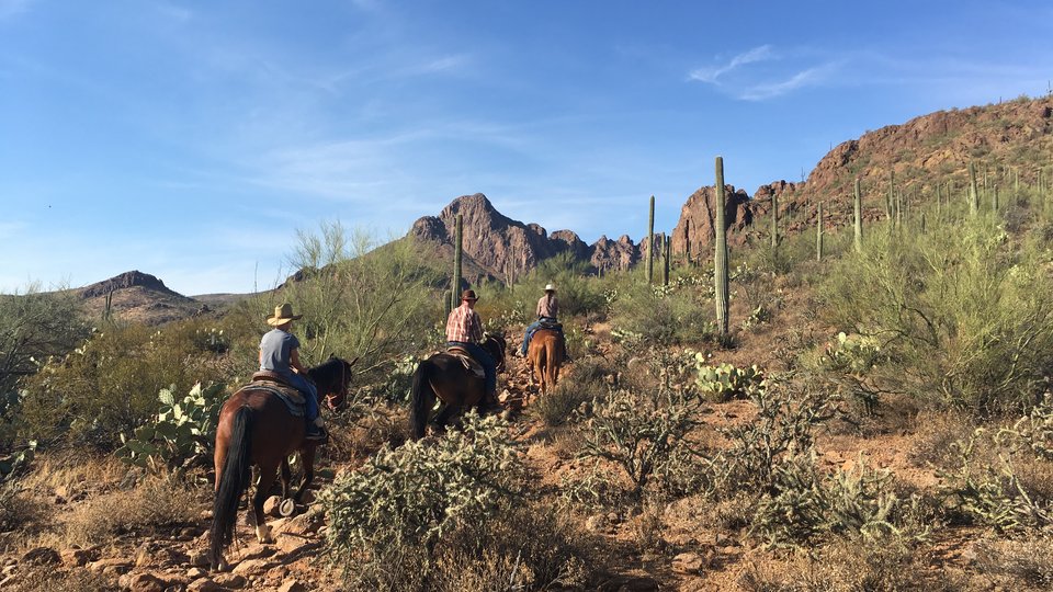 Tucson - Arizona - Doets Reizen