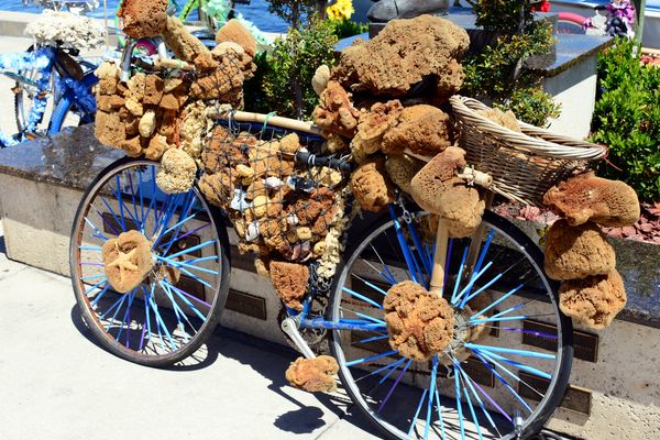 Tarpon Springs - Clearwater Beach - Florida - Doets Reizen