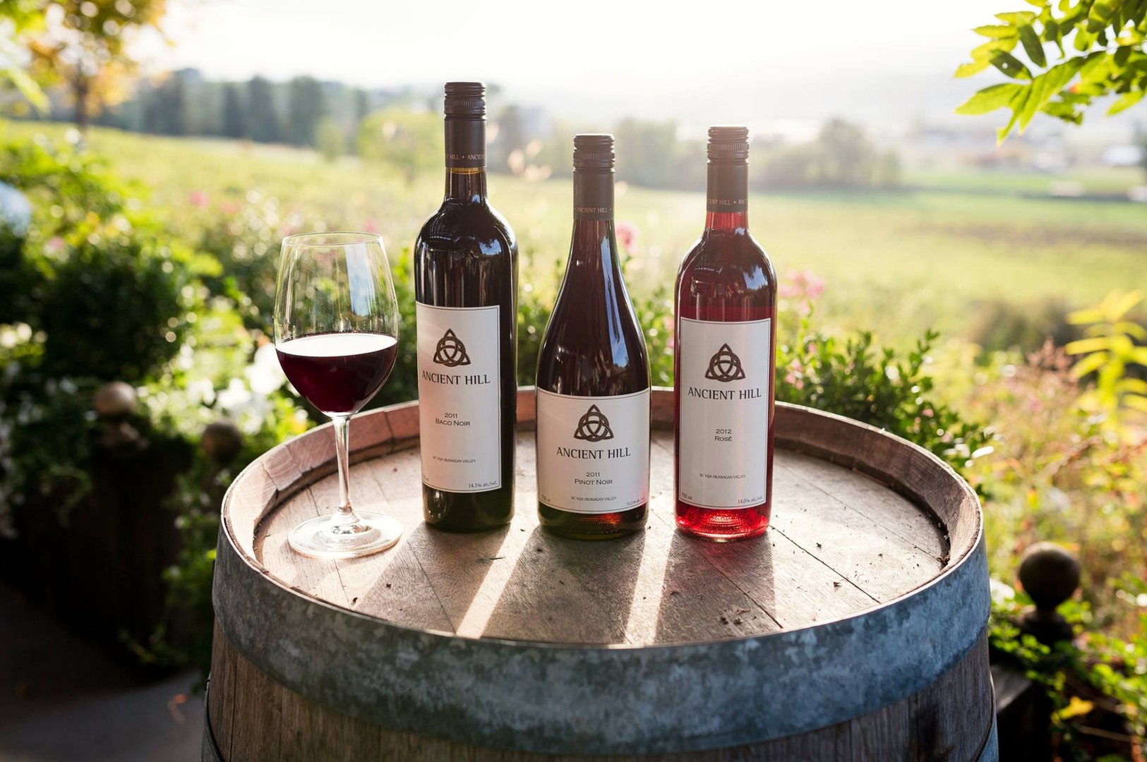 Ancient Hill Estate Winery - Kelowna - Okanagan Valley - British Columbia - Canada - Doets Reizen
