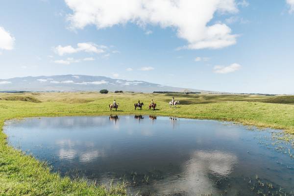 Horse riding door de landschappen van het veelzijdige Hawaii