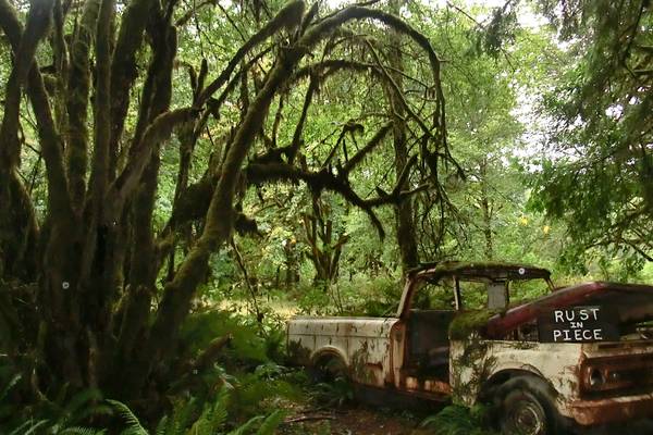 Olympic National Park - Washington State - Doets Reizen