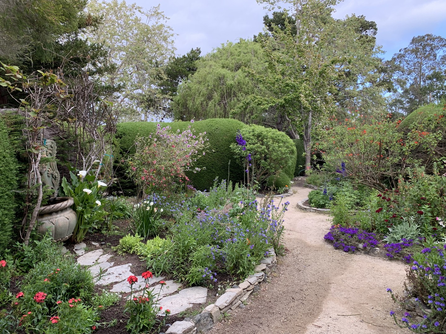 Cambria Pines Lodge - California - Amerika - Doets Reizen