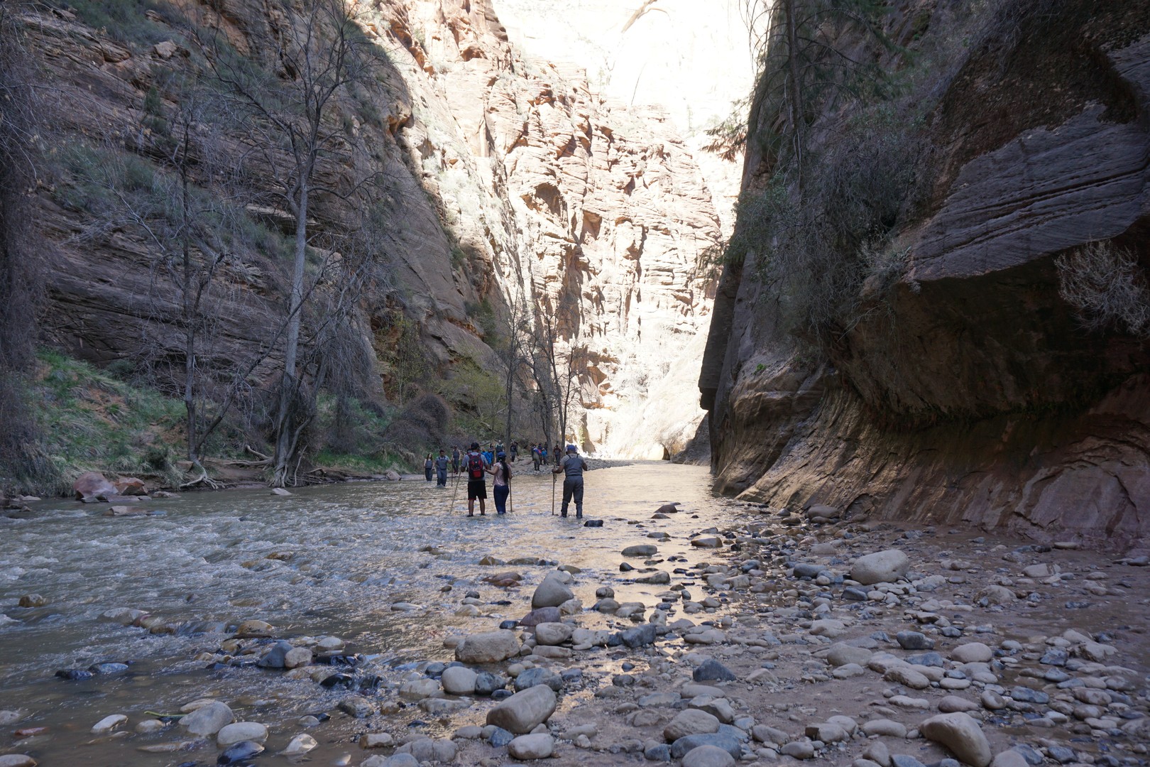 Zion National Park - Utah - Vakantie West Amerika - Doets Reizen (15)