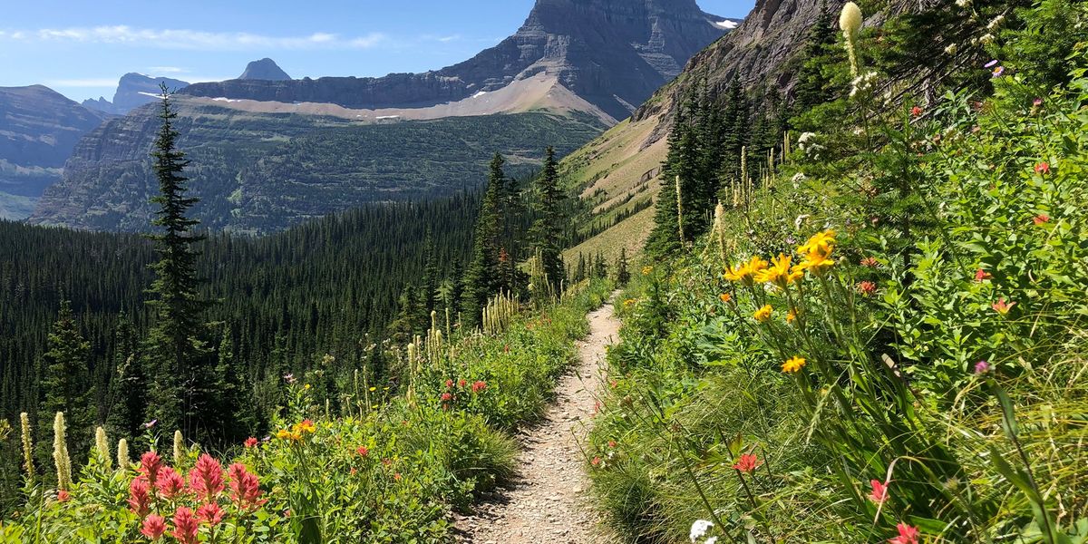 Glacier National Park in Amerika - Doets Reizen