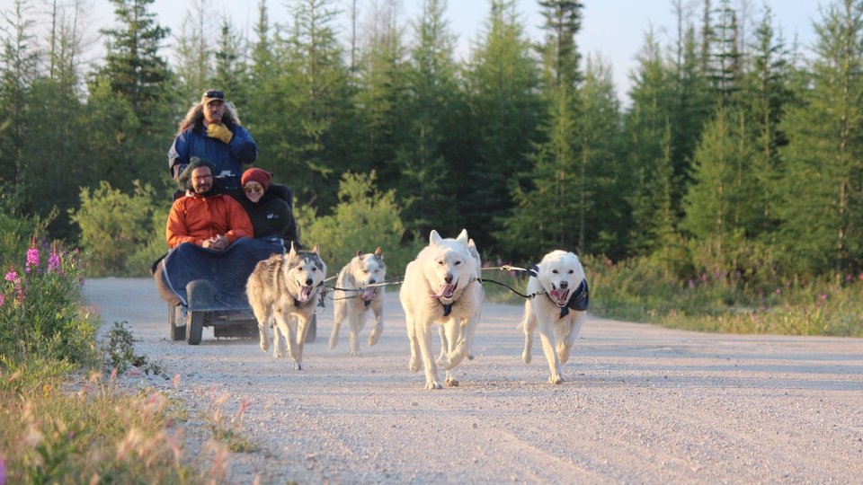 Dog Mushing Churchill - Manitoba - Canada - Doets Reizen