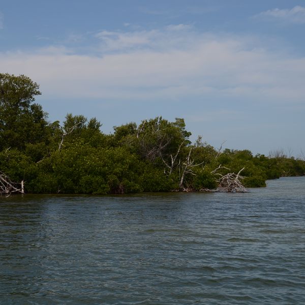 Boottocht Captiva Island - Florida - Doets Reizen