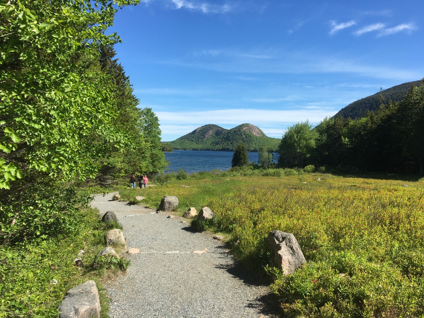 Acadia National Park - Maine - Amerika - Doets Reizen