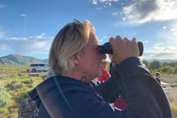 Wildlife Safari - Grand Teton National Park - Wyoming - Doets Reizen