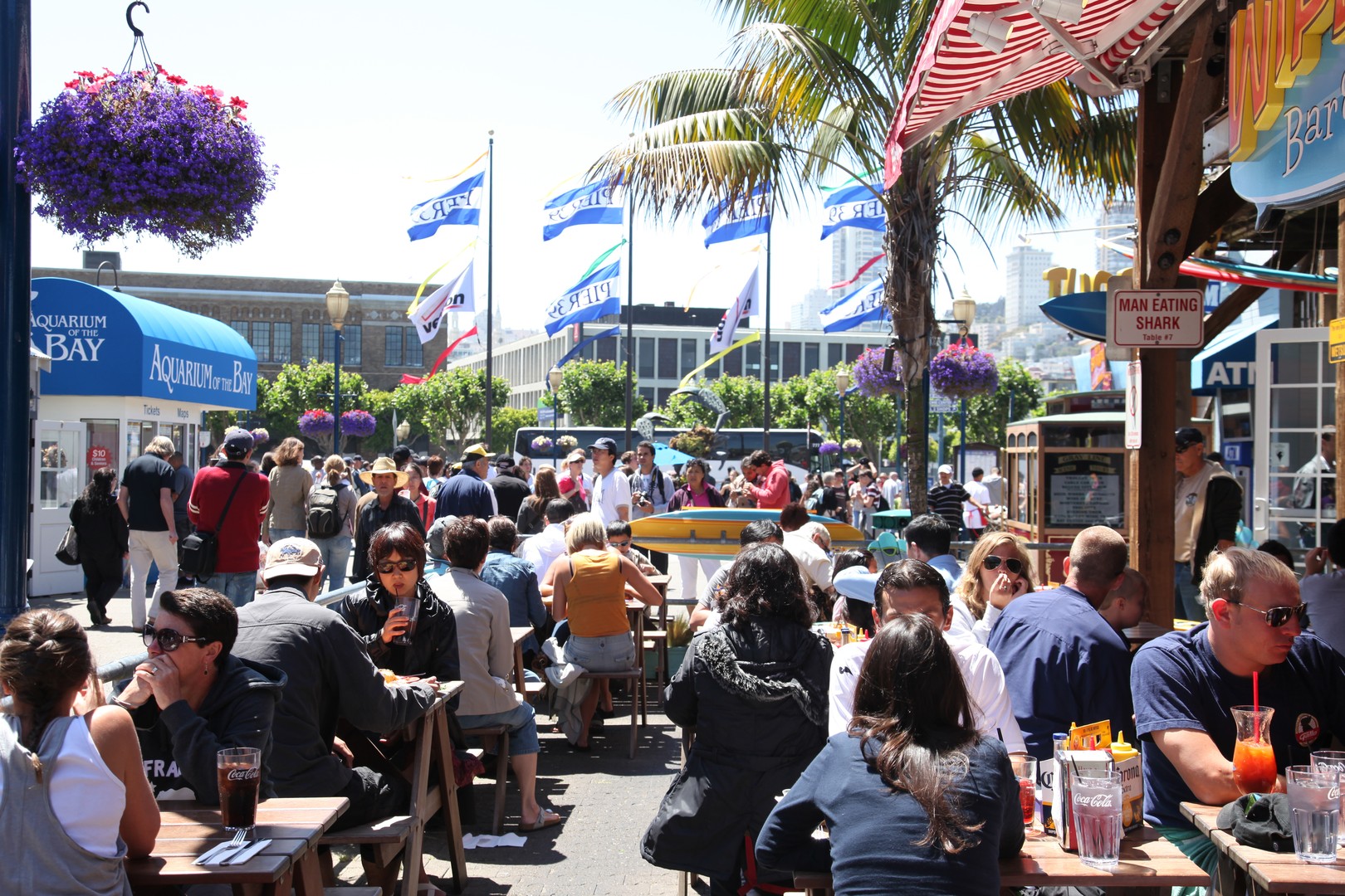 San Francisco - California - Amerika - Doets Reizen