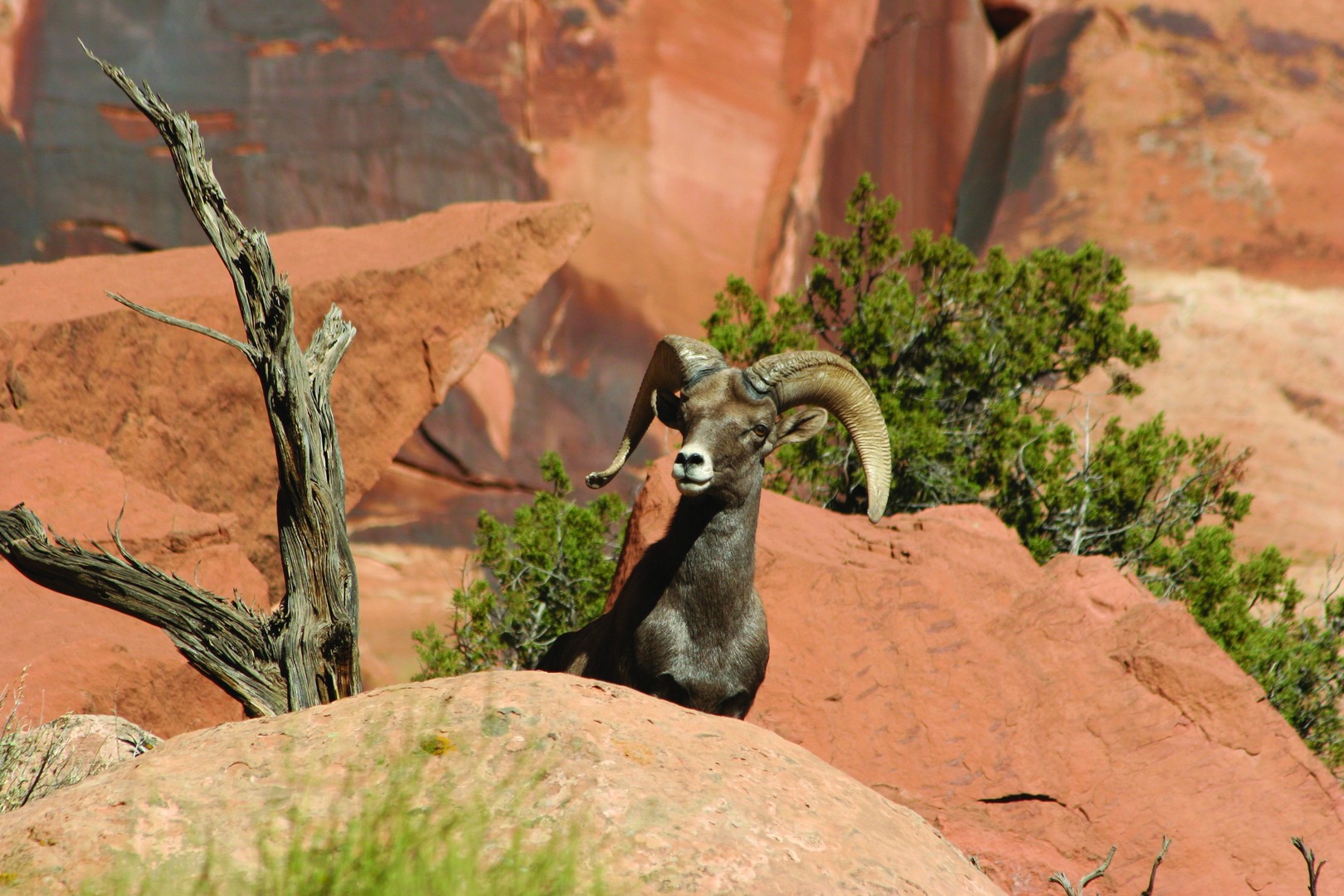 Grand Junction - Colorado - Doets Reizen