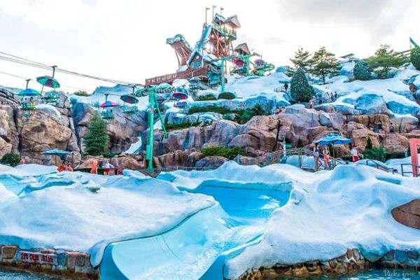 Disney - Orlando - Florida - Doets Reizen