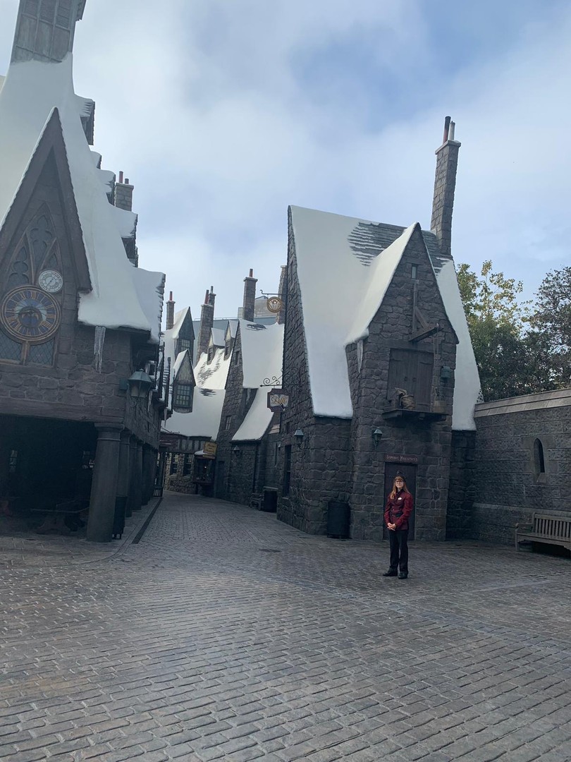 Harry Potter - Universal Studio's - Los Angeles - California - Amerika - Doets Reizen