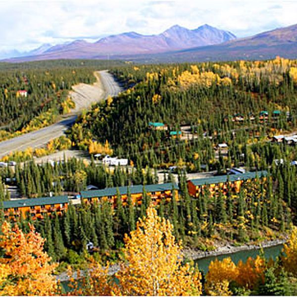 Denali Grizzly Bear Resort - aanzicht