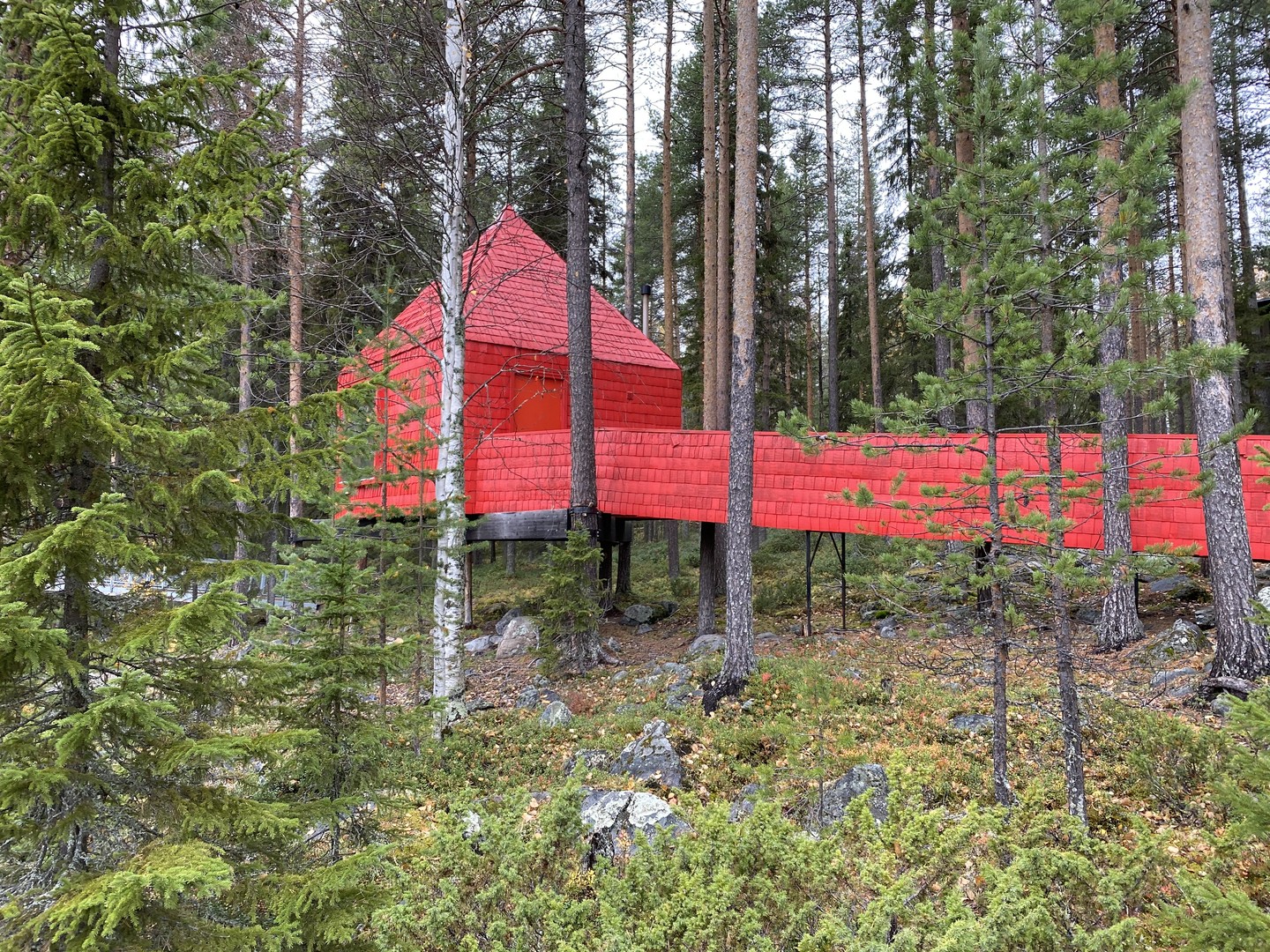 Elske Doets in Zweden - Treehotel Zweden - Treehotel Sweden - Treehotel - Vakantie Zweden - Doets Reizen