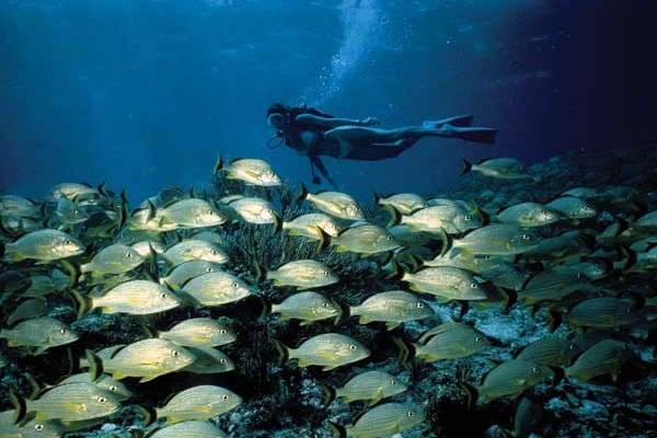 Little Palm Island Resort - The Keys - Florida - Amerika