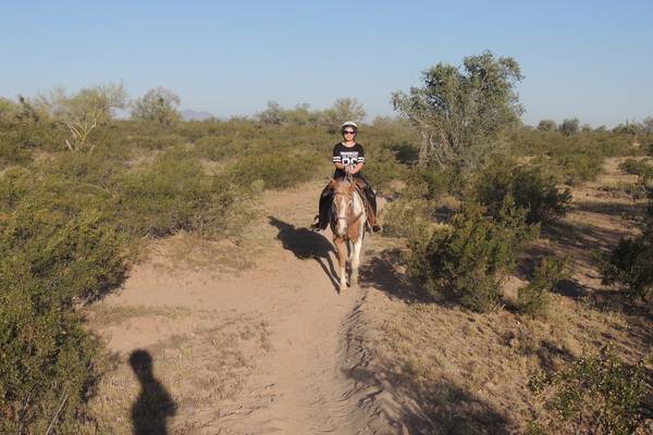 White Stallion Ranch Tucson - Arizona - Doets Reizen