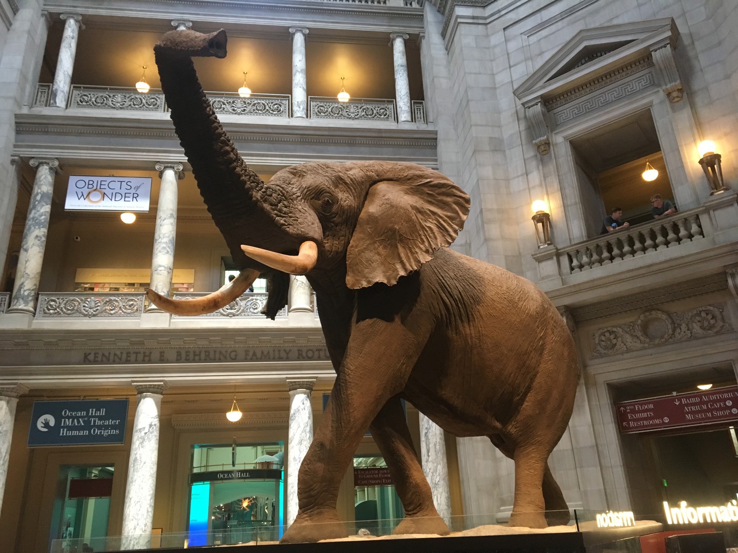 Museum of Natural History - Washington D.C. - Doets Reizen