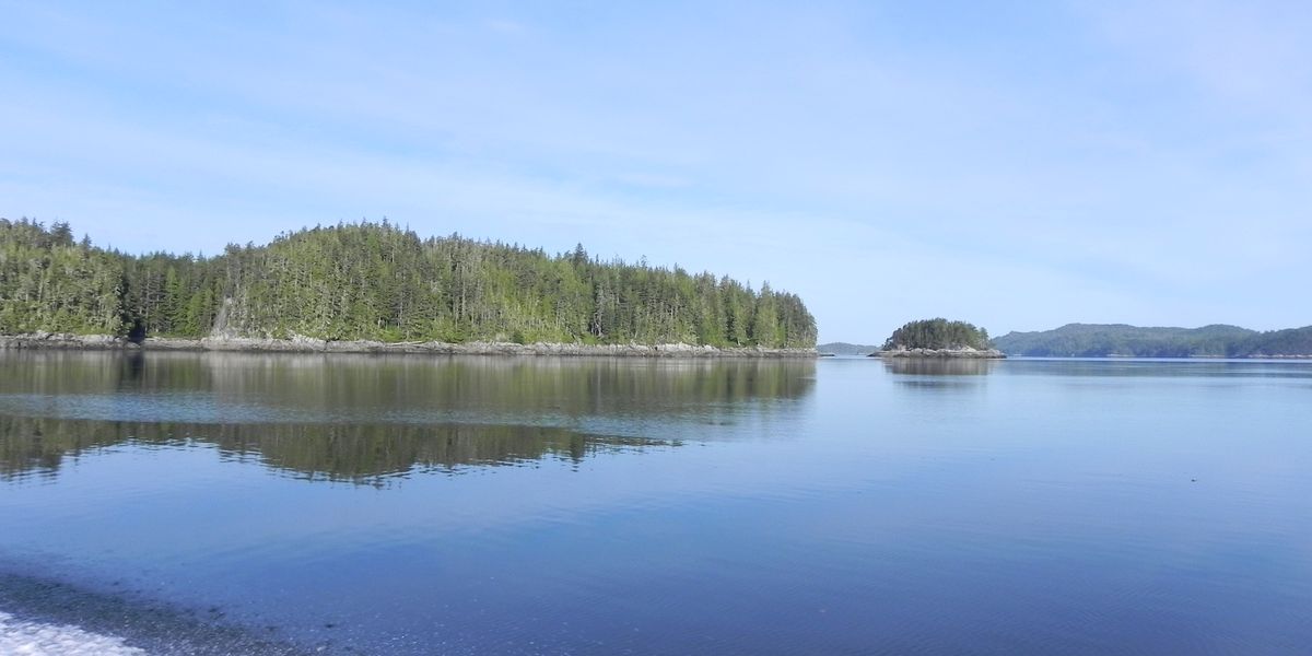 Tide Rip Tours - Telegraph Cove - Vancouver Island - British Columbia - Canada - Doets Reizen
