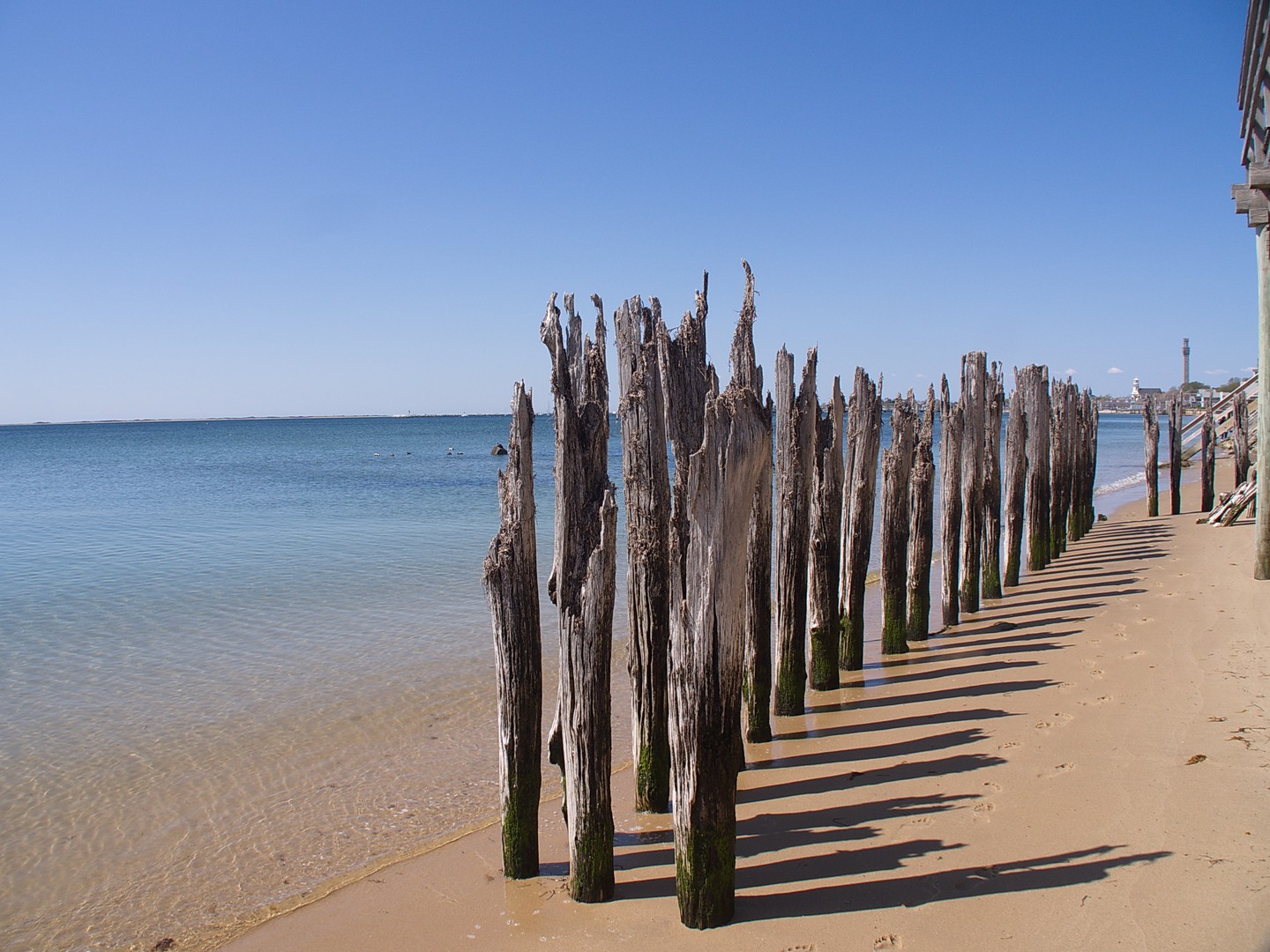 Cape Cod - Massachusetts - Doets Reizen