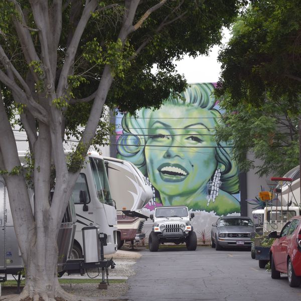 Hollywood RV Park, sfeerbeeld op de camping