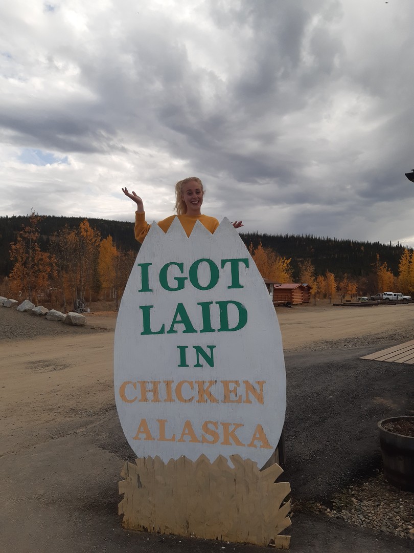 Chicken - Alaska - Doets Reizen