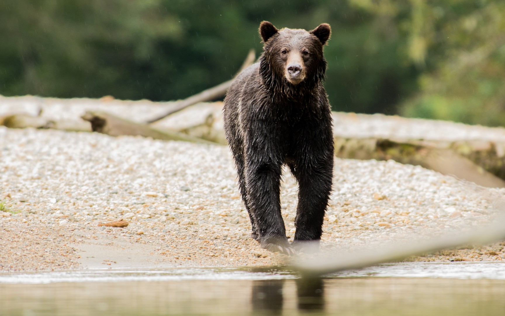 Seawolf Adventures - British Columbia - Canada - Doets Reizen