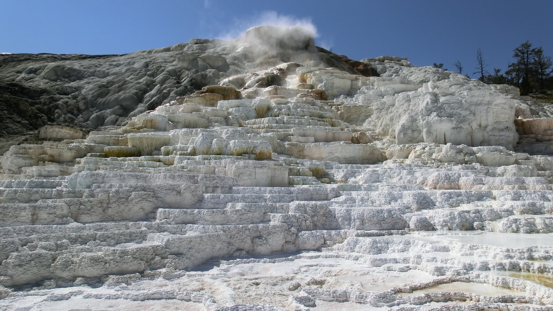 Yellowstone National Park - Wyoming - Doets Reizen