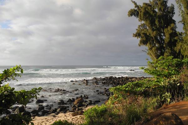 Oahu - Hawaii - Doets Reizen
