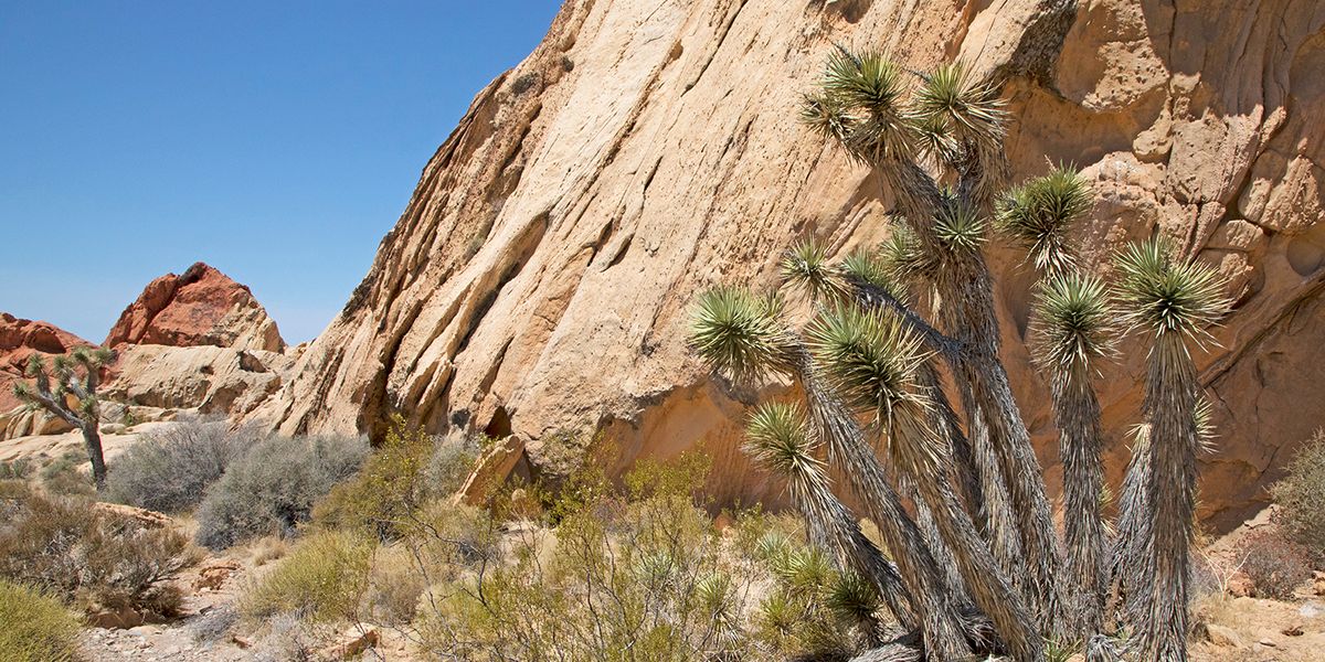 Gold Butte National Monument - Nevada - Doets Reizen - Credits Travel Nevada and Sydney Martinez