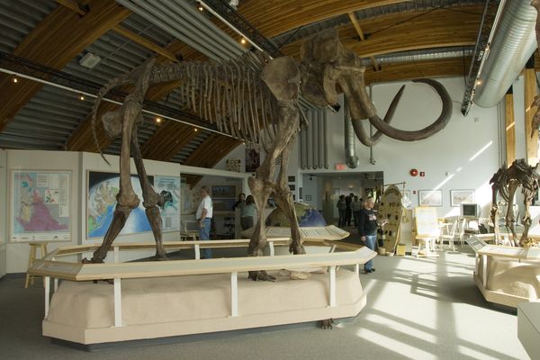 Whitehorse - Yukon - Canada - Doets Reizen