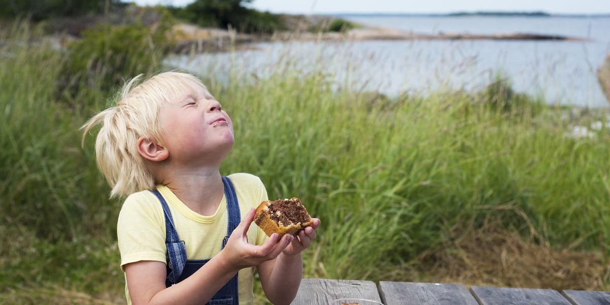 Blekinge - Doets Reizen - Vakantie Zweden - Credtis Visit Sweden